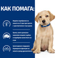 Заредете изображението в програмата за преглед на галерия, Hill's Prescription Diet Derm Complete Puppy - Zoo-PetShop
