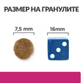 Заредете изображението в програмата за преглед на галерия, Hill’s PRESCRIPTION DIET Gastrointestinal Biome Mini - Zoo-PetShop
