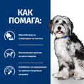 Load image into Gallery viewer, Hill's PRESCRIPTION DIET ON-CARE - Zoo-PetShop
