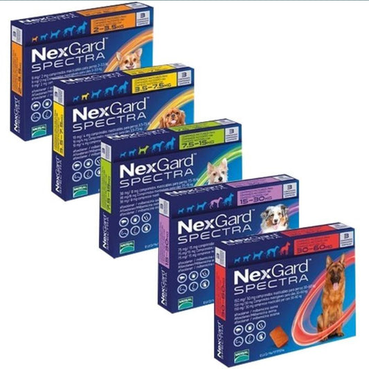 NEXGARD SPECTRA - Against fleas, ticks, heartworms, roundworms, 3 tablets per box!!! The price is 58 lv for a box of 3 tablets 1.35-3.5 kg