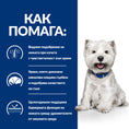 Заредете изображението в програмата за преглед на галерия, Hill's PRESCRIPTION DIET Derm Complete Mini - Zoo-PetShop
