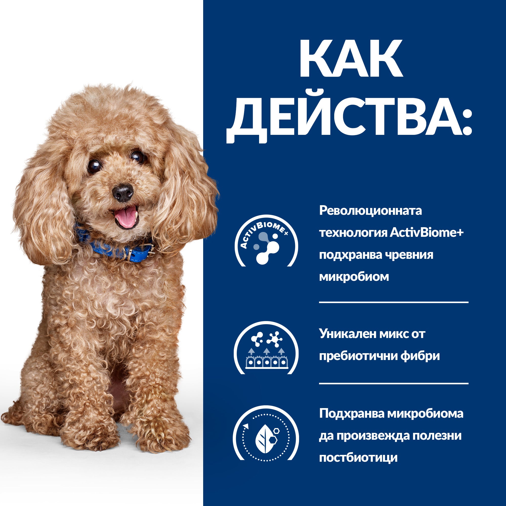 Hill’s PRESCRIPTION DIET Gastrointestinal Biome Mini - Zoo-PetShop