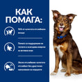Load image into Gallery viewer, Hill's PRESCRIPTION DIET Metabolic Weight Management - Zoo-PetShop
