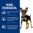 Заредете изображението в програмата за преглед на галерия, Hill's PRESCRIPTION DIET Metabolic Mini - Zoo-PetShop

