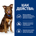 Заредете изображението в програмата за преглед на галерия, Hill's PRESCRIPTION DIET Metabolic Lamb & Rice - Zoo-PetShop
