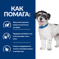 Заредете изображението в програмата за преглед на галерия, Hill's PRESCRIPTION DIET Metabolic + Mobility Mini - Zoo-PetShop
