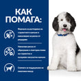 Заредете изображението в програмата за преглед на галерия, Hill's PRESCRIPTION DIET c/d Multicare Urinary Care - Zoo-PetShop
