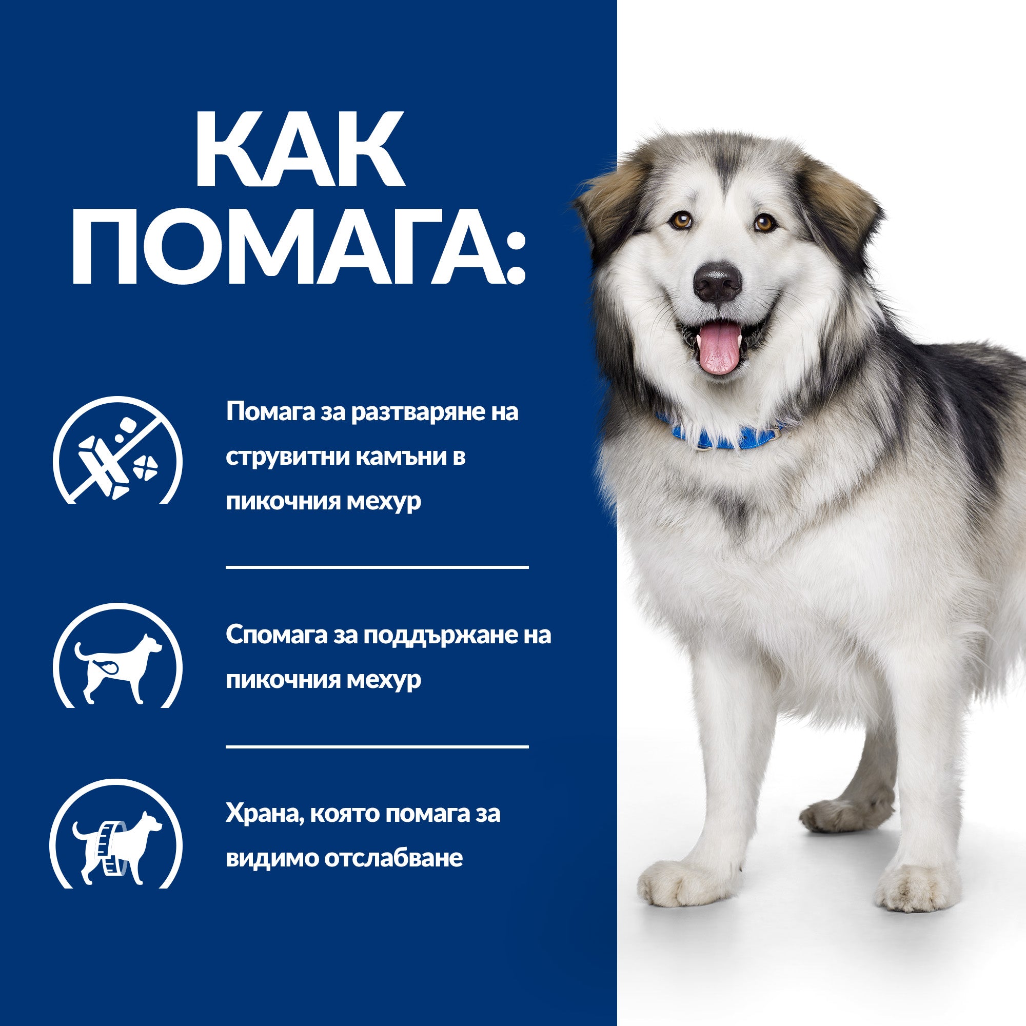 Hill's PRESCRIPTION DIET c/d + Metabolic - Zoo-PetShop
