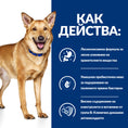 Load image into Gallery viewer, Hill's PRESCRIPTION DIET i/d Digestive Care AB+ - Zoo-PetShop

