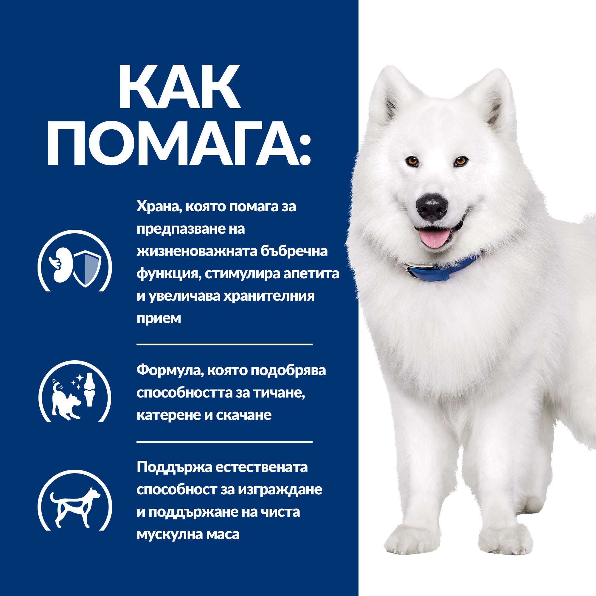 Hill's PRESCRIPTION DIET k/d + Mobility - Zoo-PetShop