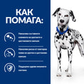 Заредете изображението в програмата за преглед на галерия, Hill's Prescription Diet u/d Urinary Care - Zoo-PetShop
