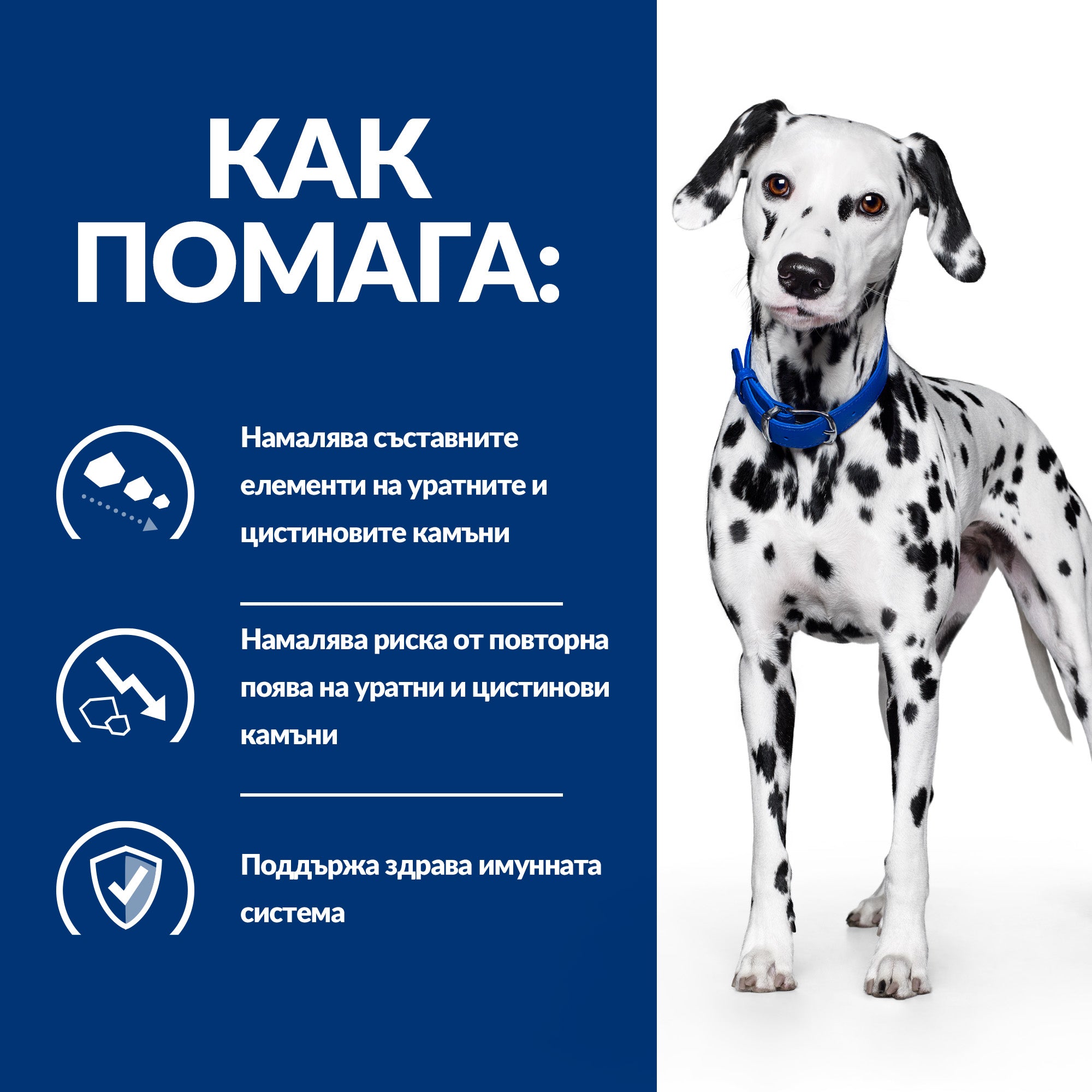 Hill's Prescription Diet u/d Urinary Care - Zoo-PetShop