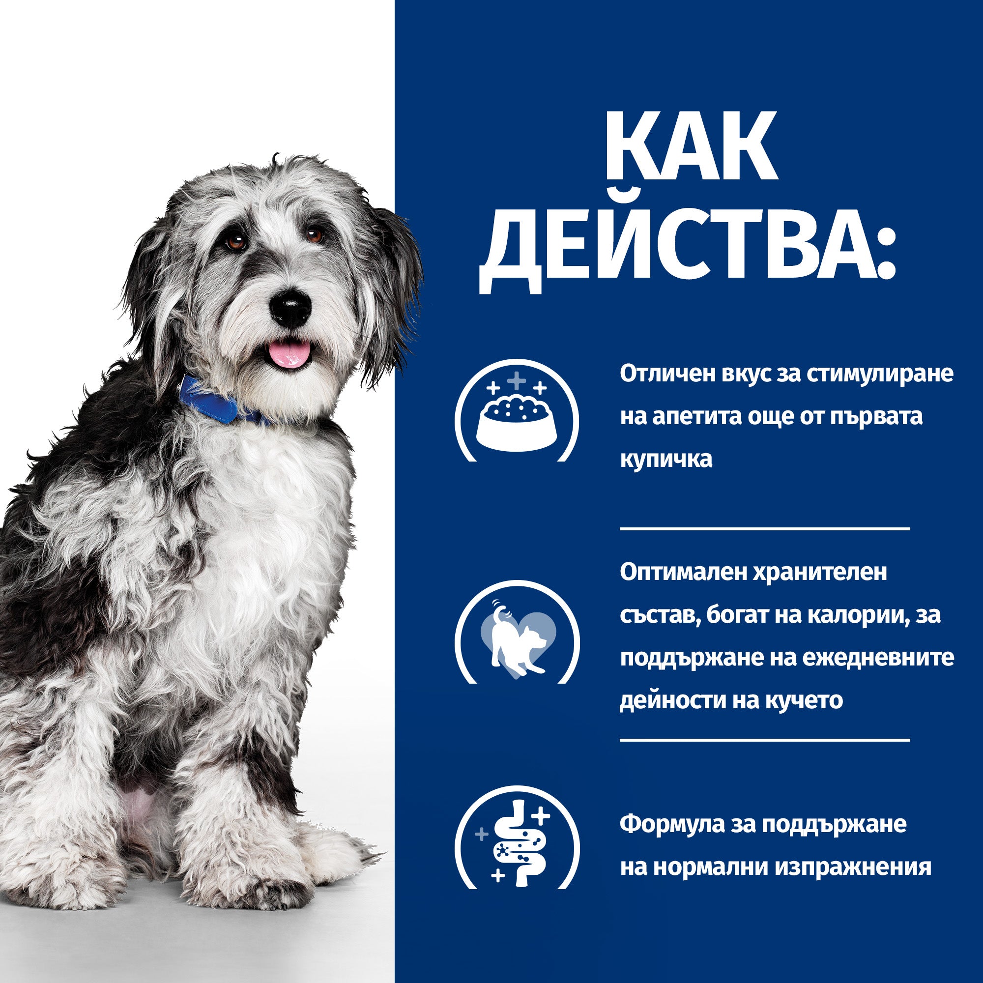 Hill's PRESCRIPTION DIET ON-CARE - Zoo-PetShop