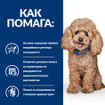 Load image into Gallery viewer, Hill’s PRESCRIPTION DIET Gastrointestinal Biome Mini - Zoo-PetShop
