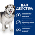 Заредете изображението в програмата за преглед на галерия, Hill's PRESCRIPTION DIET c/d + Metabolic - Zoo-PetShop
