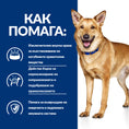 Load image into Gallery viewer, Hill's PRESCRIPTION DIET i/d Digestive Care AB+ - Zoo-PetShop
