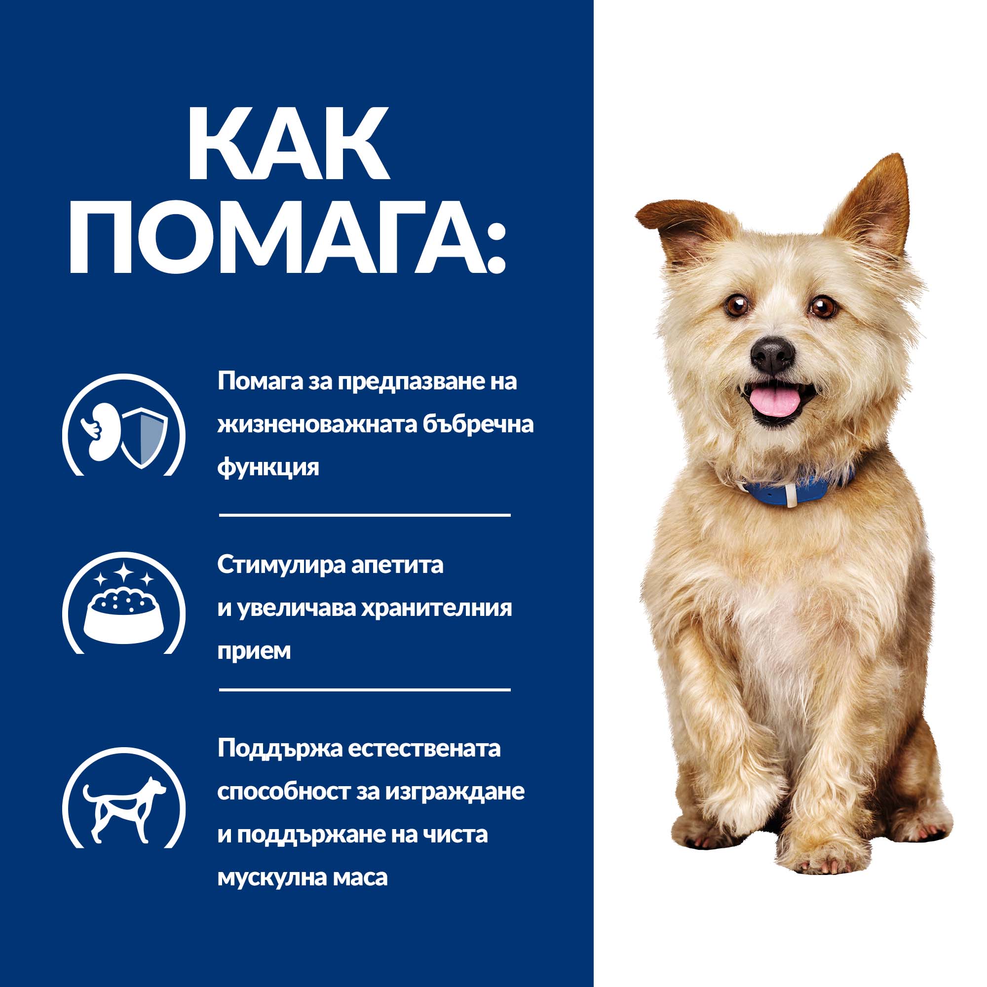 Hill's PRESCRIPTION DIET k/d Kidney Care - Zoo-PetShop