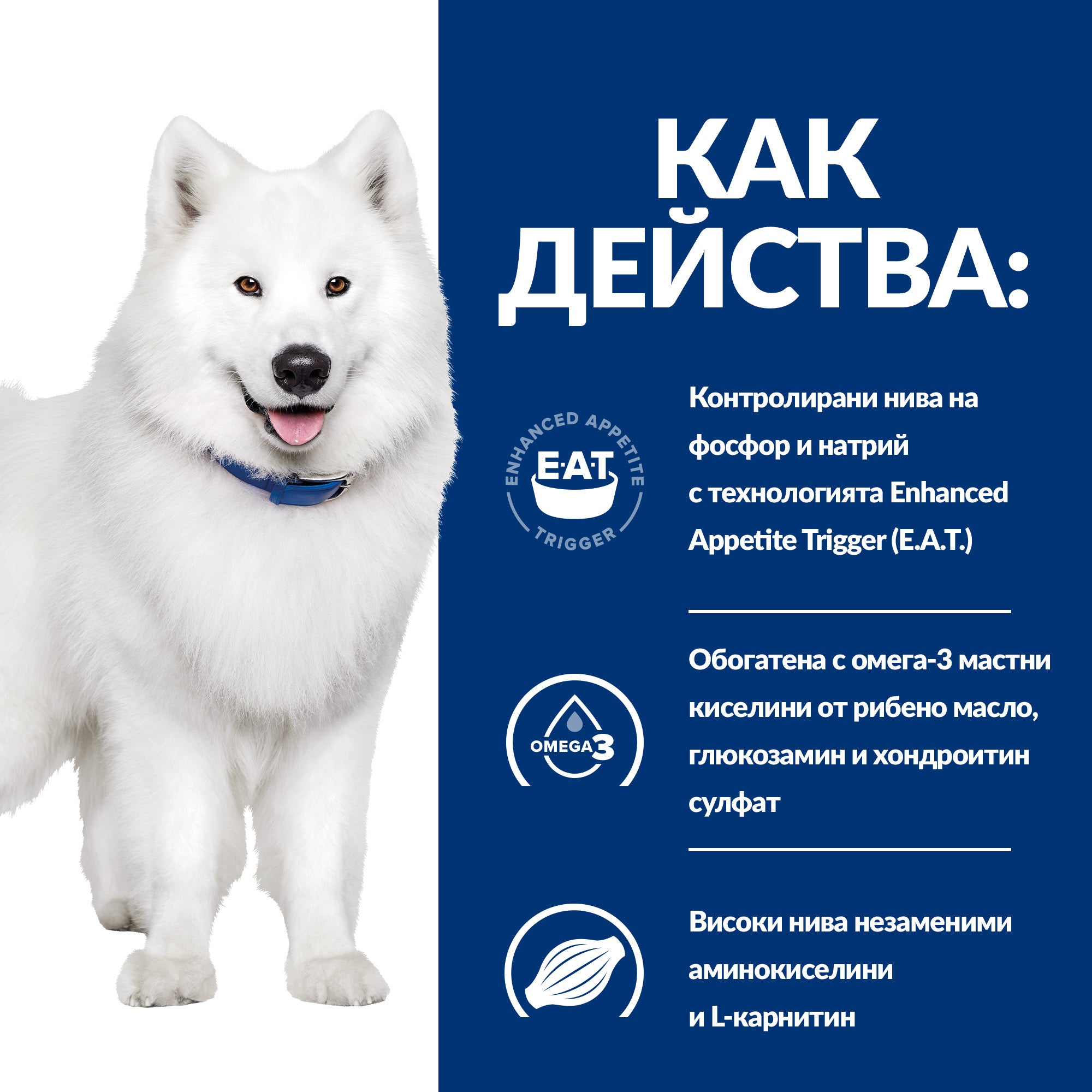 Hill's PRESCRIPTION DIET k/d + Mobility - Zoo-PetShop