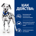 Load image into Gallery viewer, Hill's Prescription Diet u/d Urinary Care - Zoo-PetShop
