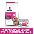 Load image into Gallery viewer, Hill’s PRESCRIPTION DIET Gastrointestinal Biome Mini - Zoo-PetShop
