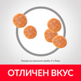 Заредете изображението в програмата за преглед на галерия, Hill's Science Plan Feline Mature Adult Sterilised Chicken - Zoo-PetShop
