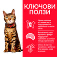 Заредете изображението в програмата за преглед на галерия, Hill's Science Plan Feline Mature Adult Sterilised Chicken - Zoo-PetShop
